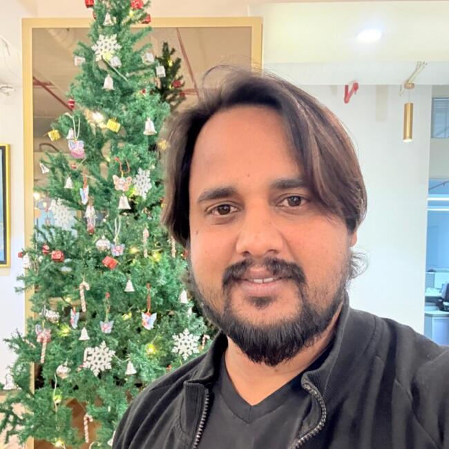 Babysitting job in Chandapura (State of Karnataka): Nitesh