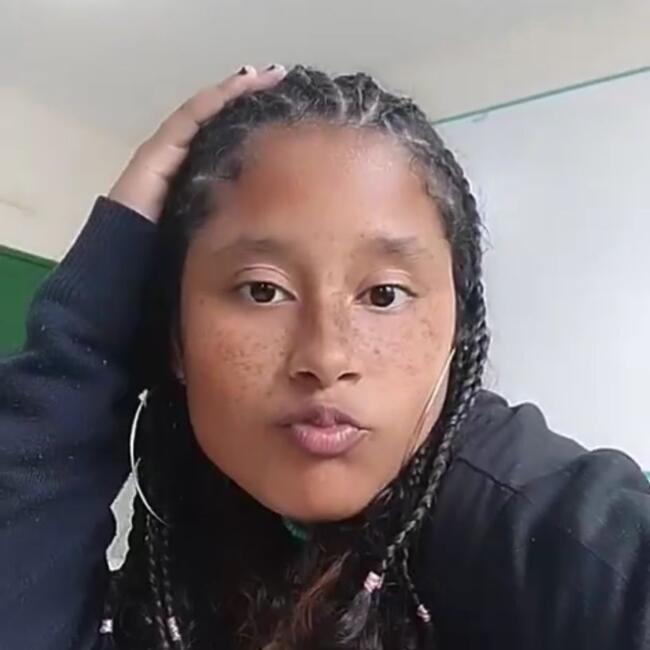 Babysitter in São José (São José): Isabelly