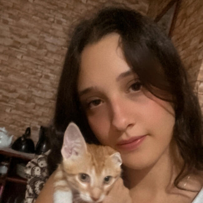 Babysitter in Caxias do Sul: Maria Clara