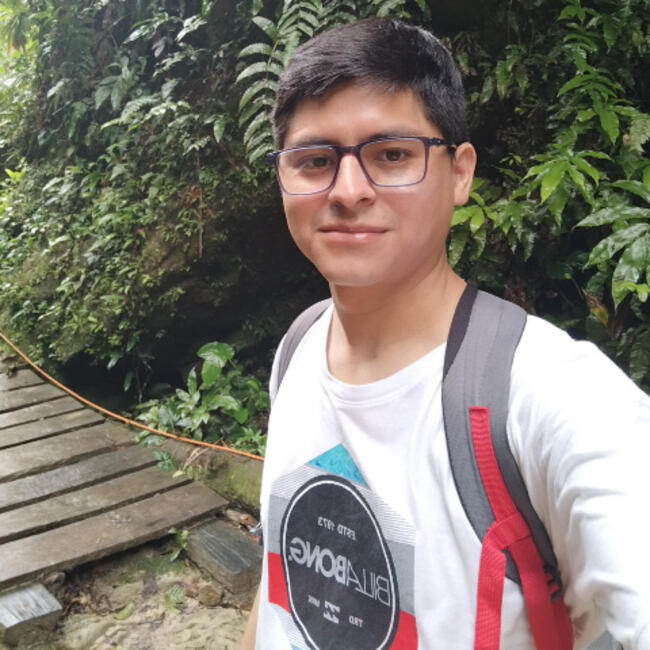 Babysitting job in Comas (Departamento de Lima): Yael