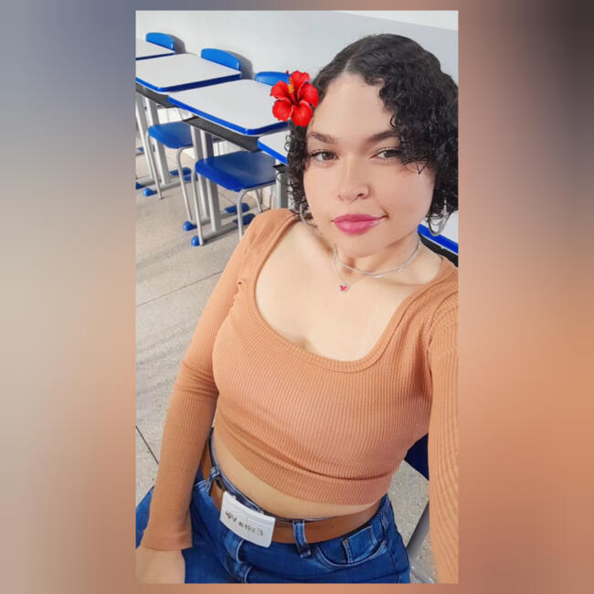 Babysitter in Aparecida de Goiânia: Aline Feitosa