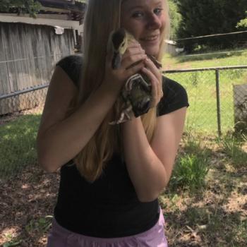 Babysitter in Pfafftown: Sierra