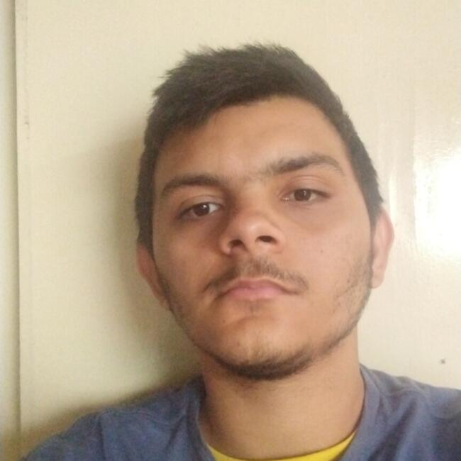 Babysitting job in Goiânia: Lucas