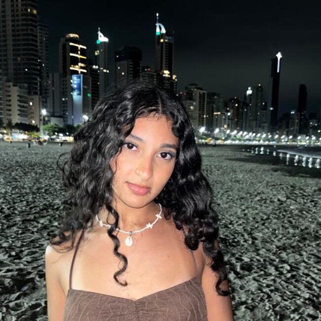 Babysitter in Curitiba: Camilly