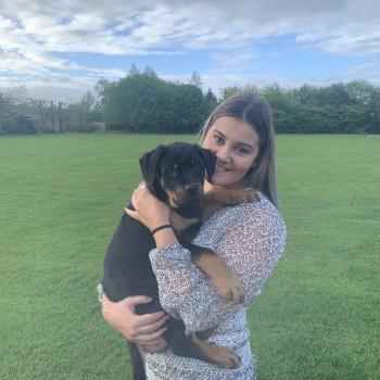 Babysitter in Christchurch: Abby