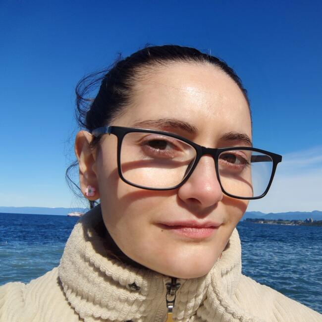 Babysitter in Port Montt: Aliosca Lerolle