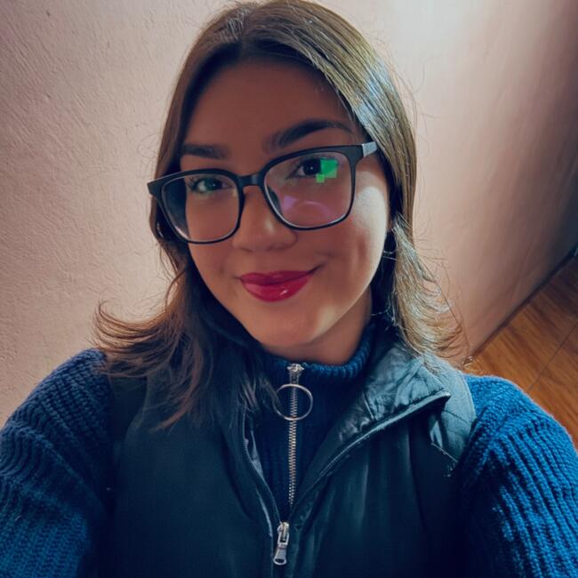 Niñera en Santiago de Chile: Javiera