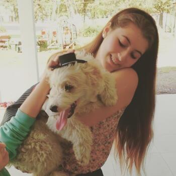 Babysitter in Chillán: Francisca