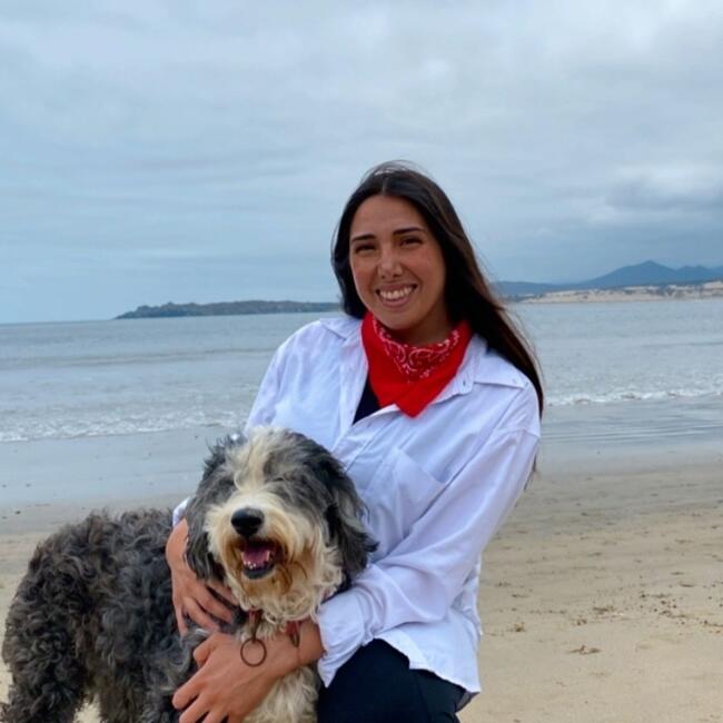 Babysitter em Vila Nova de Gaia: Carolina Mezzano