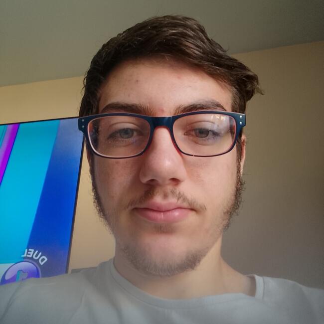 Babysitter in Vignieu: Mickael