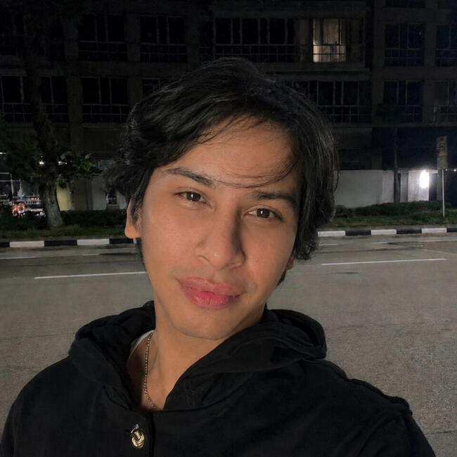 位于新加坡的临时保姆: Kash