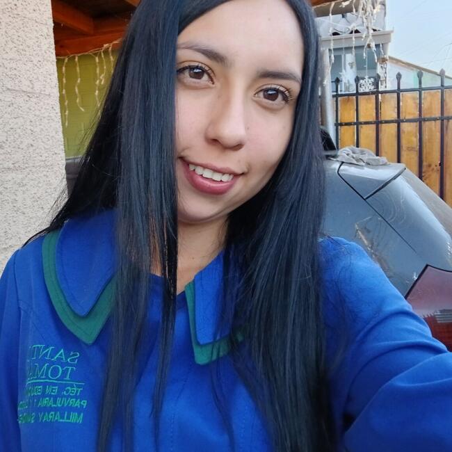Niñera en Rancagua: Millaray
