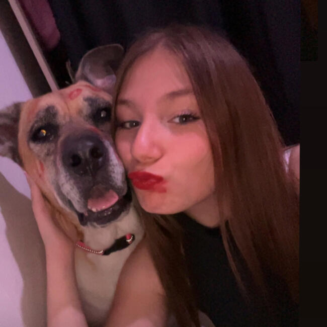 Babysitter in Dunkerque: Gwendoline