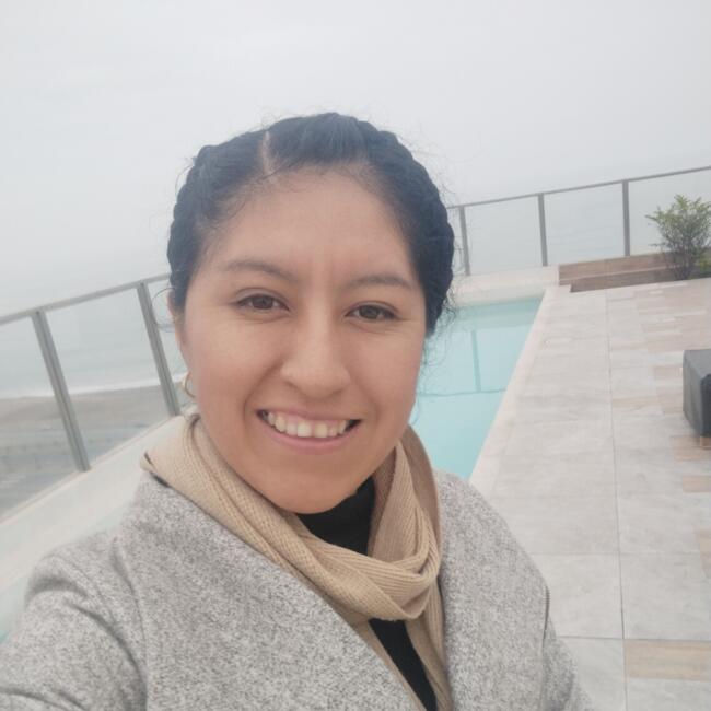 Babysitter in San Juan (Lima): LISBET
