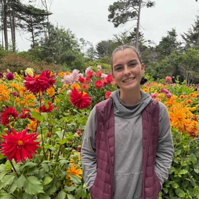 Babysitter in Santa Rosa: Dahlia