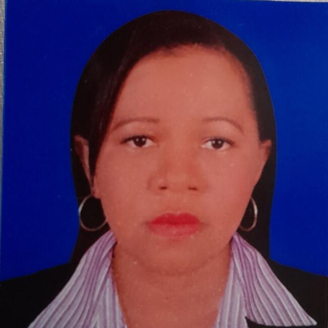 Niñera en Barranquilla: Nazly Villero Díaz.