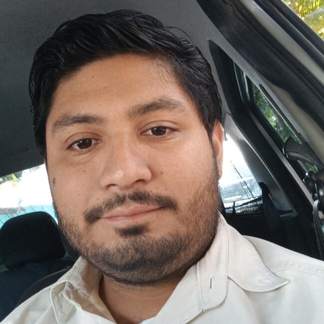 Babysitting job in Tuxtla Gutiérrez: Elías E. Torres