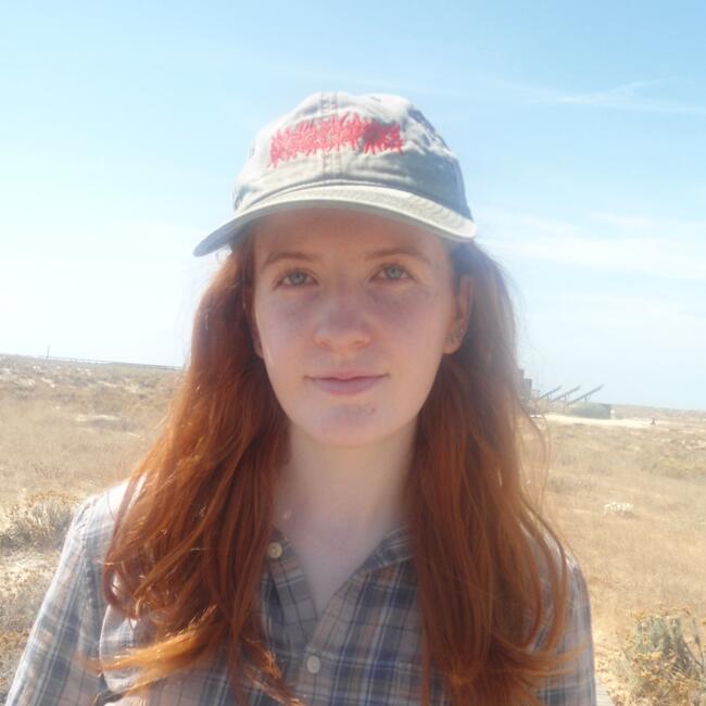 Babysitter in The City of Brighton and Hove: Erin