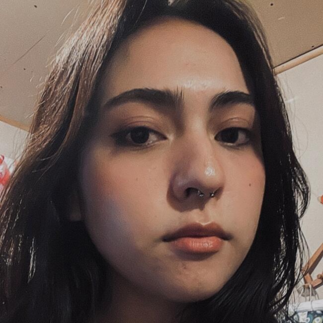 Babysitter in Valparaíso: Ayline