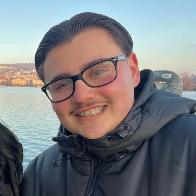 Babysitter in Wohlen: Besnik