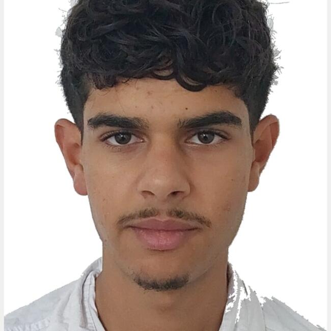 Babysitter in Mainz: Wasim