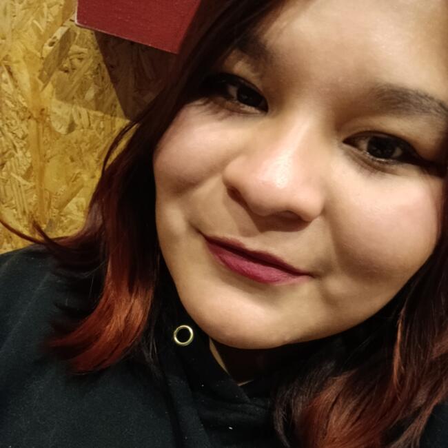 Babysitter in Calama: Shakira Milenka