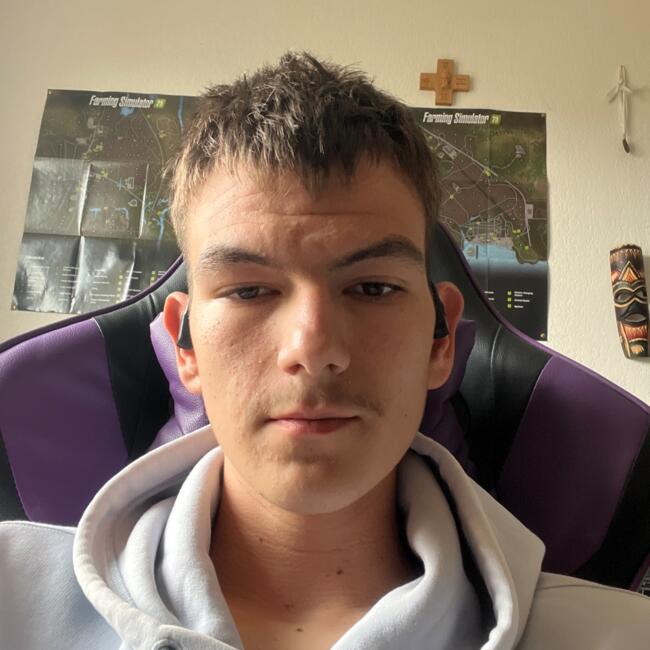 Babysitter in Pernes-les-Fontaines: Louis