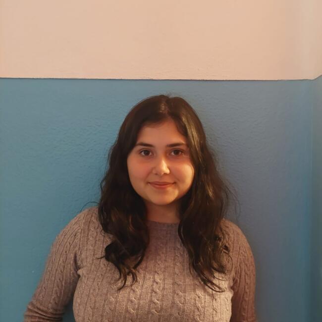 Babysitter em Olhão: Diana