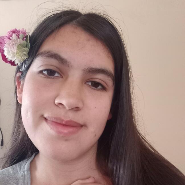 Babysitter in Viña del Mar: Celene