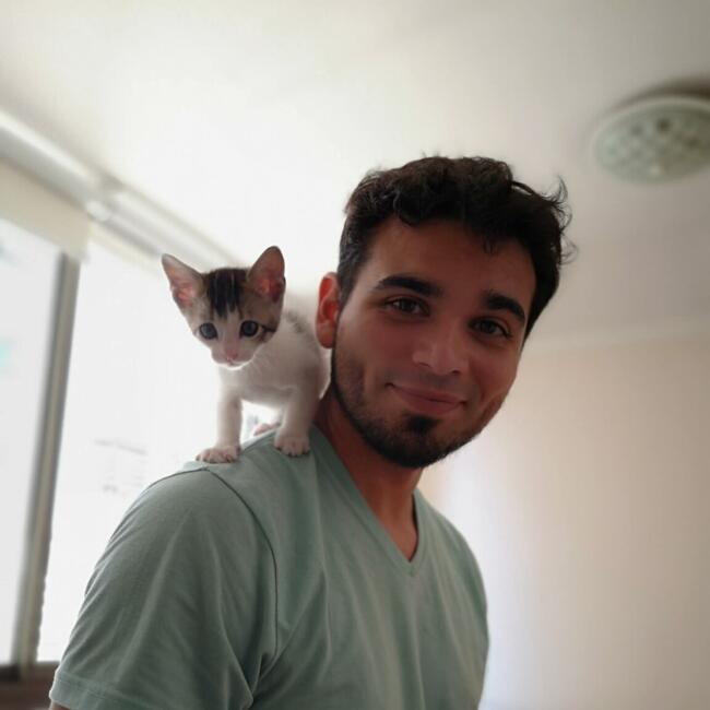 Babysitting job in Santiago: Camilo