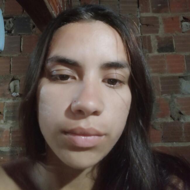 Babysitting job in Bálsamo (São Paulo): Mariaclara