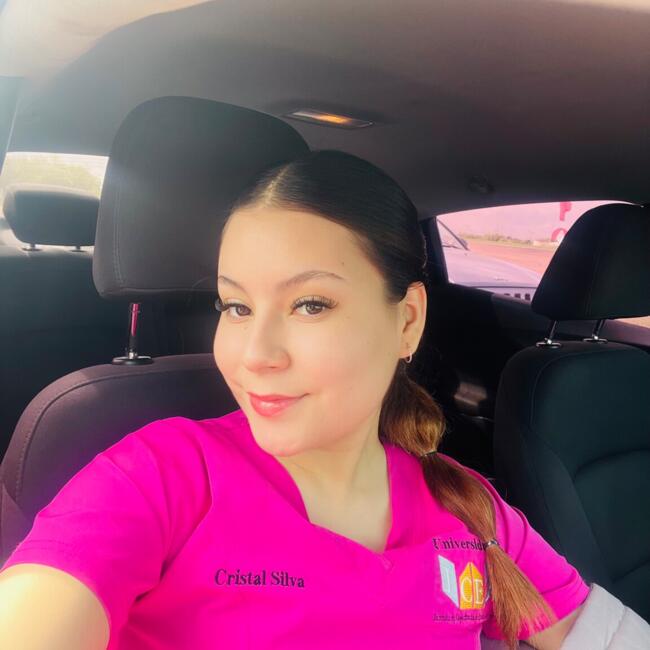 Babysitter in Delicias: Cristal