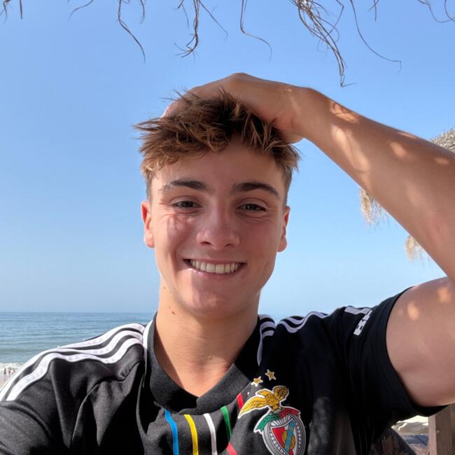 Babysitter in La Celle-Saint-Cloud: Nathan