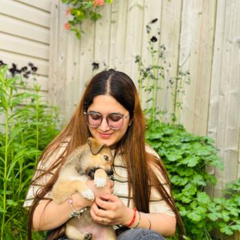 Baby-sitter in Kingston: Sukh