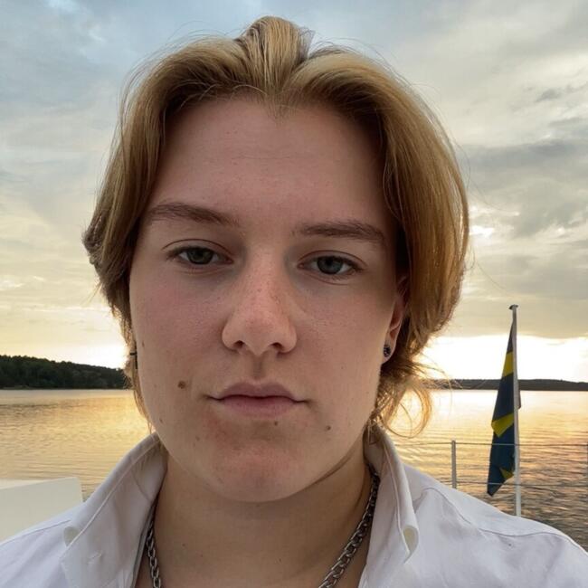 Barnvakt i Spånga: Linnéa