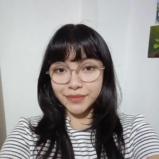 Babysitter in Comas (Departamento de Lima): Angie