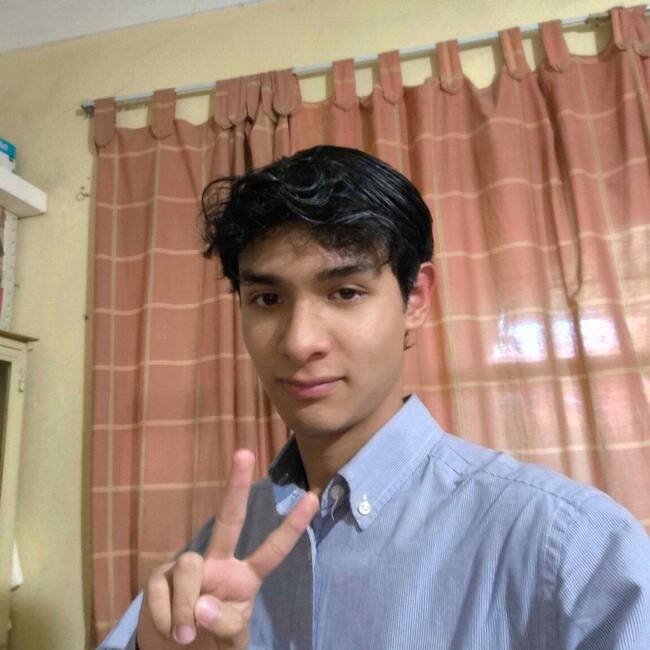 Niñera en La Magdalena Tlaltelulco: Carlos Daniel