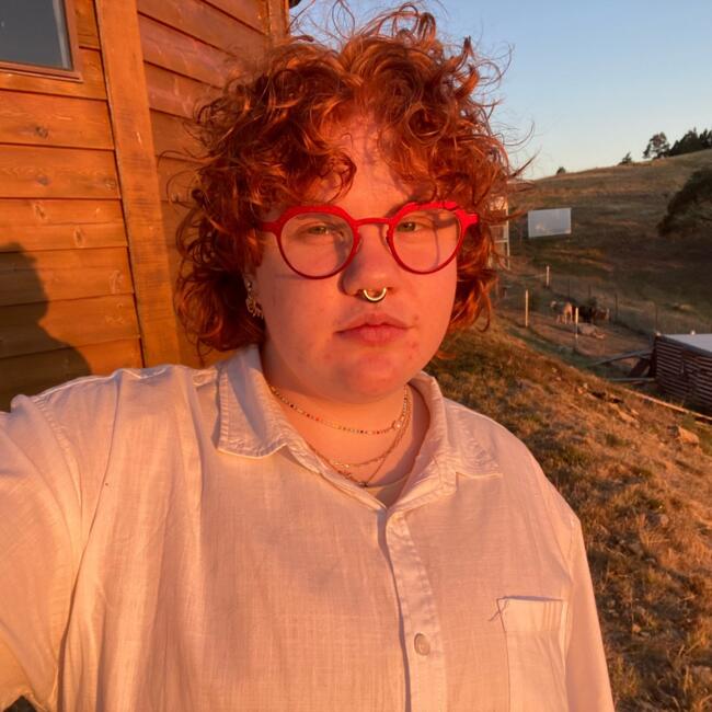 Babysitter in Wollongong: Louie