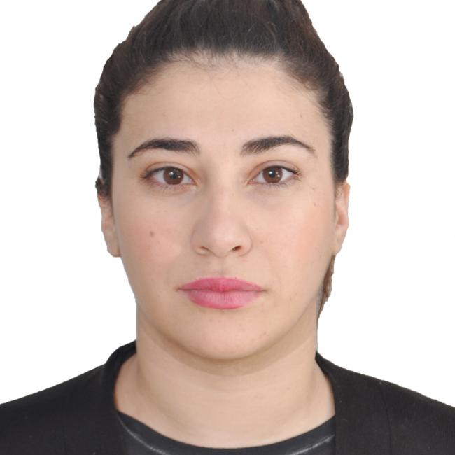 Nanny in Villeneuve-d'Ascq: Liticya