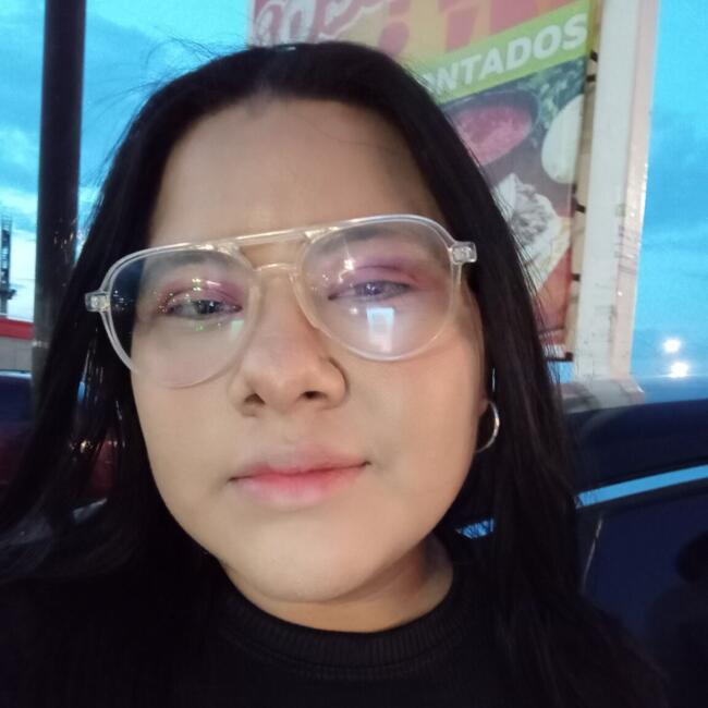 Babysitting job in Ciudad Juárez: Diana Hernández