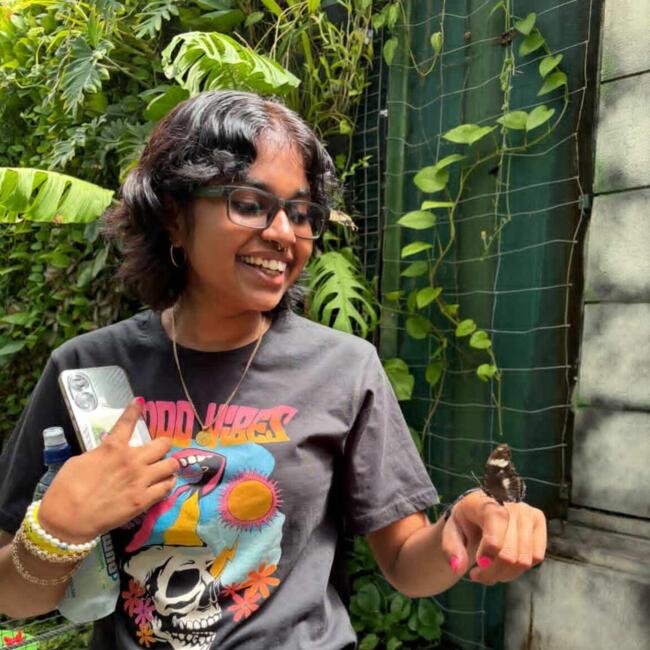 Babysitter in Auckland: Siya