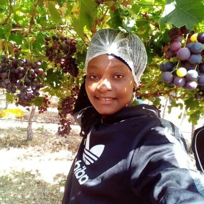 Babysitter in Wellington: Pride