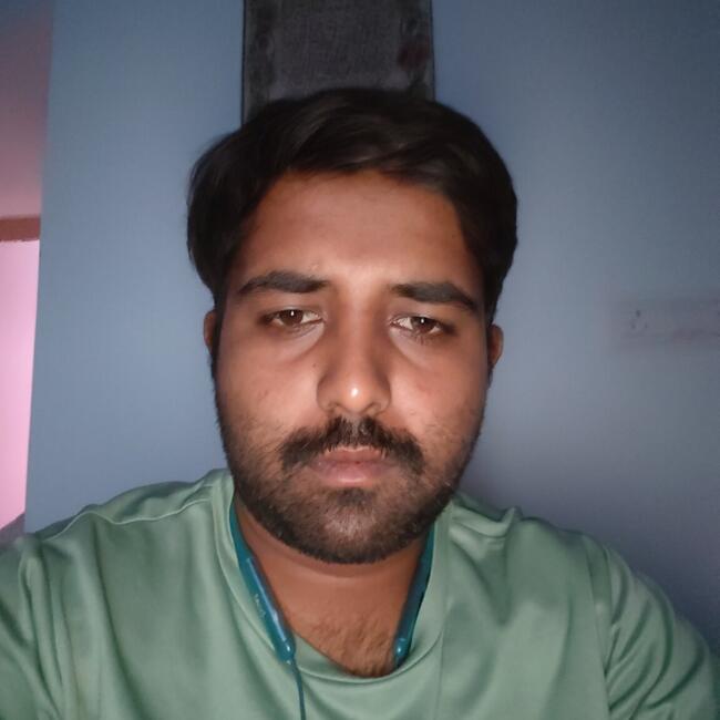 बंगलौर में बेबीसिटिंग की नौकरी: Malik