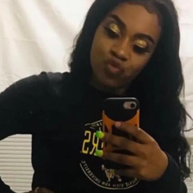 Babysitting job in Missouri City (Texas): Jasmin