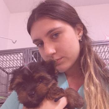 Babysitter in Florianópolis: Ana Sofia