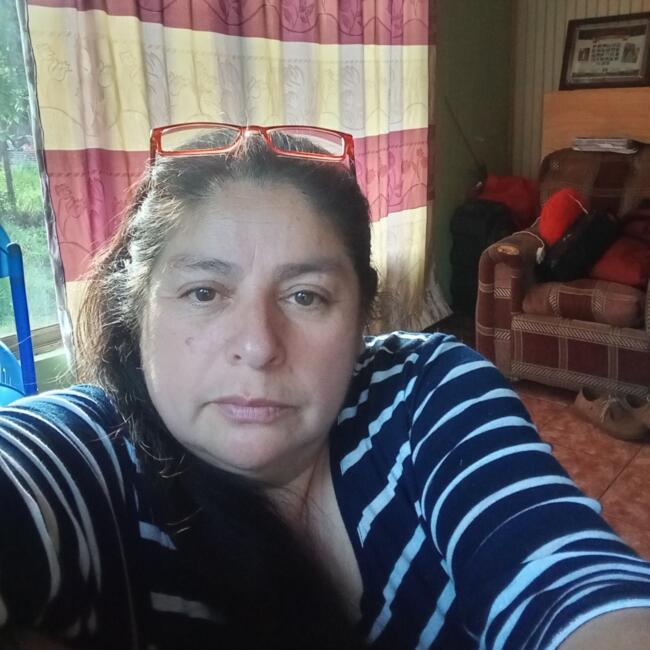 Babysitter in Padre Las Casas: Erika roxana