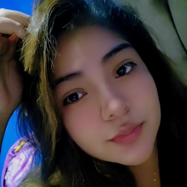 Babysitter in Santiago: Vanessa garrafa