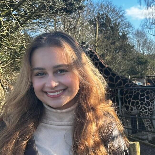 Babysitter in Cork: Ana Clara