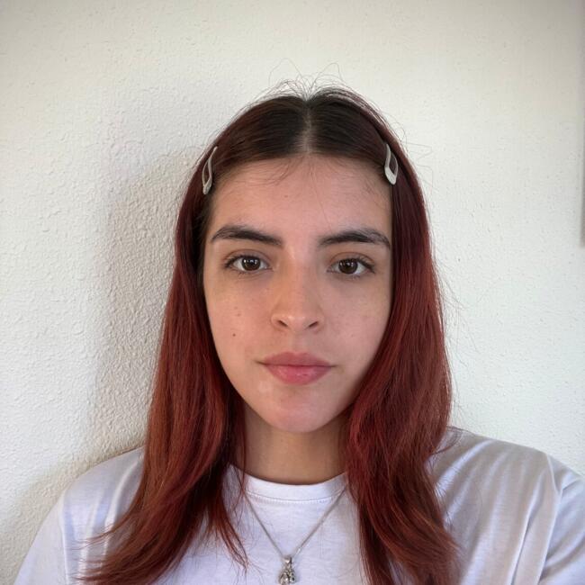 Babysitter in Santiago: Isi