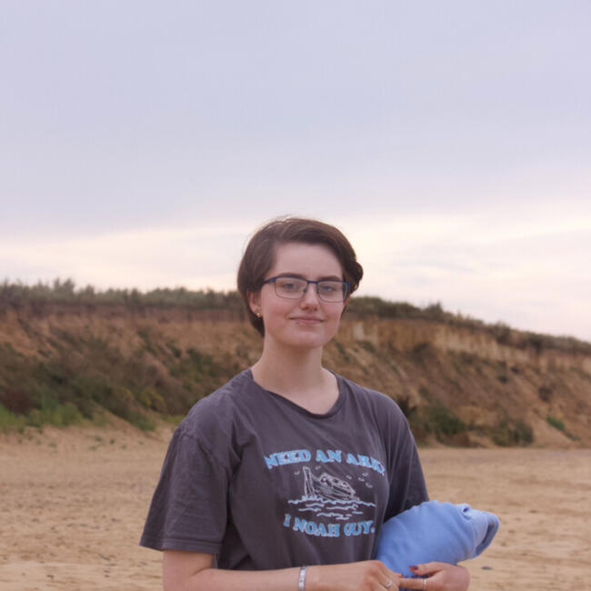 Babysitter in Norwich: Chloe